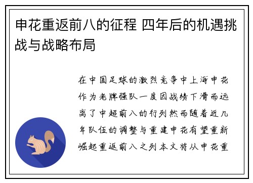 申花重返前八的征程 四年后的机遇挑战与战略布局